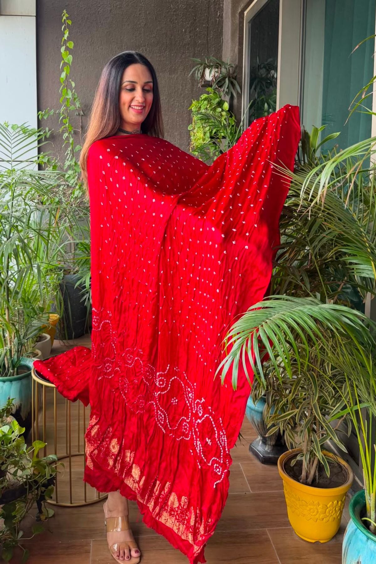 Bandhani with nakshi zari work on pure modal!!