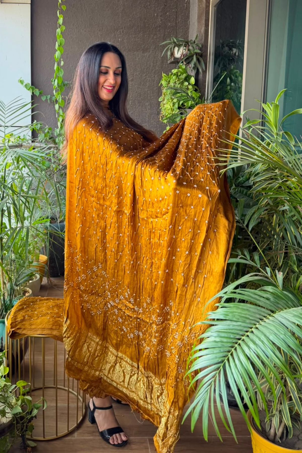 Bandhani with nakshi zari work on pure modal!!