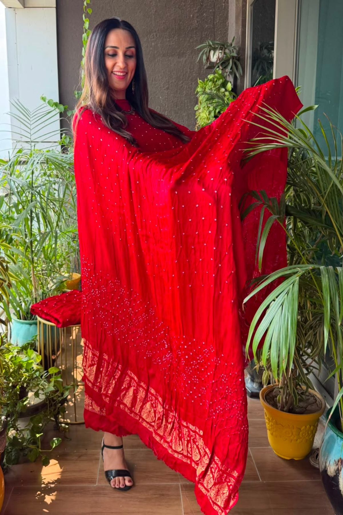 Bandhani with nakshi zari work on pure modal!!