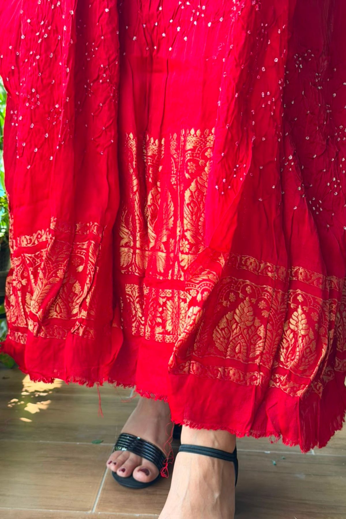 Bandhani with nakshi zari work on pure modal!!